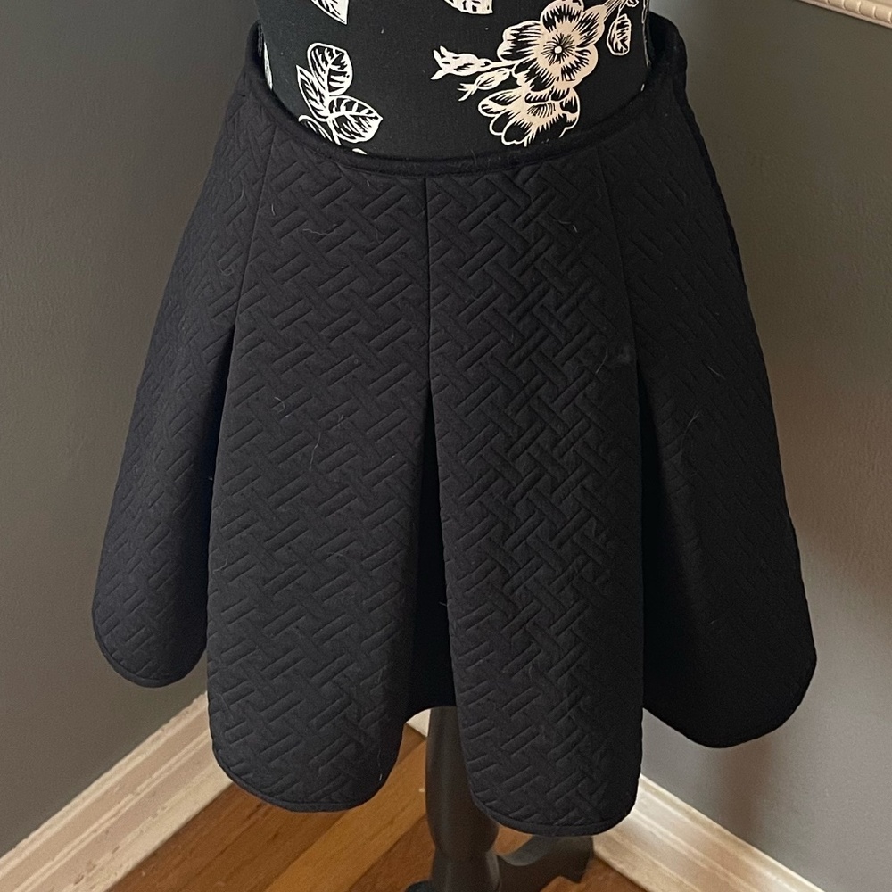 Pleated Skirt
